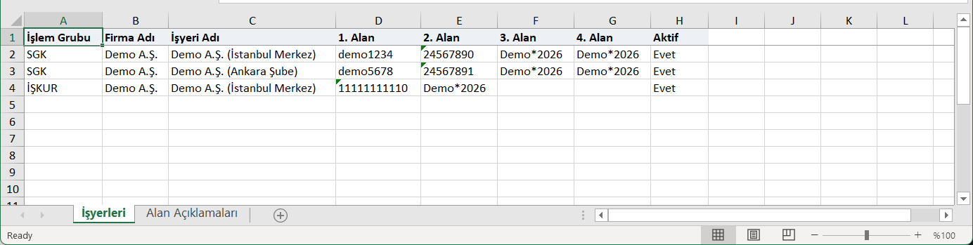 Excel'de örnek liste: İşlem Grubu, Firma Adı, İşyeri Adı, 1.–4. Alan ve Aktif sütunları